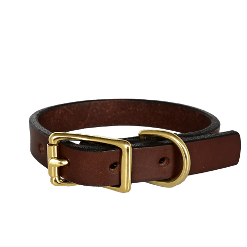 Leather Dog Collar